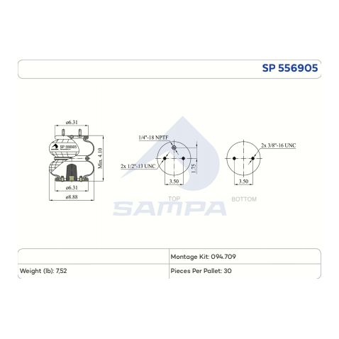 556905 Air Bag
